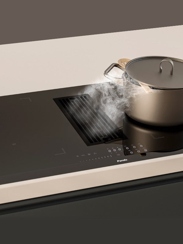 Placa con extracción Pando E-392