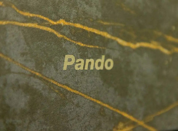 Campana decorativa de pared Pando modelo P-746 Inox + Dekton® Pando