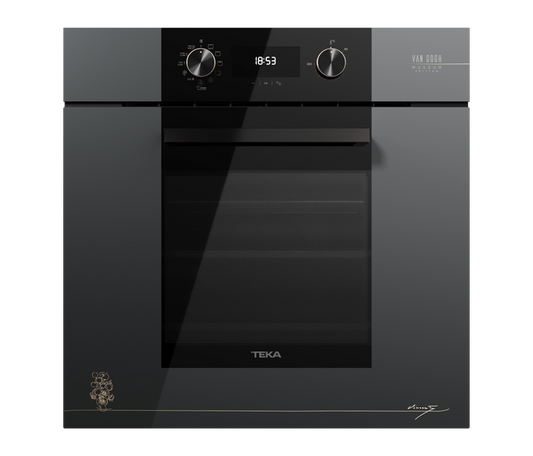 Horno pirolítico Teka Maestro Van Gogh HLB 84 P VG 111000096